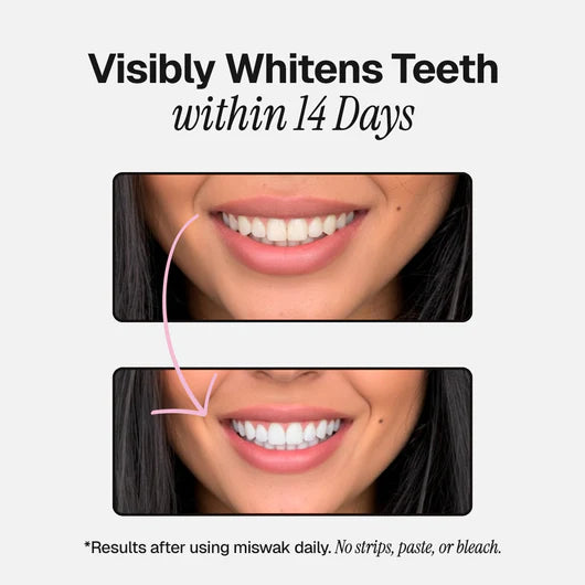 Ancient Natural Toothbrush