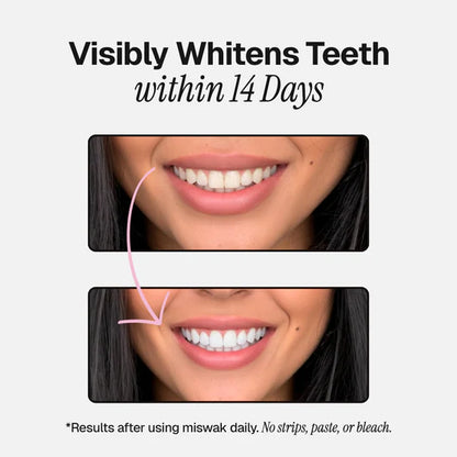 Ancient Natural Toothbrush