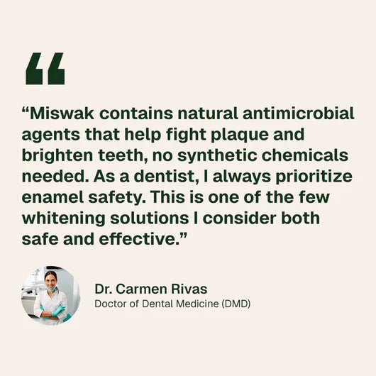 Ancient Natural Toothbrush