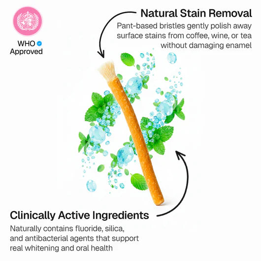 Ancient Natural Toothbrush