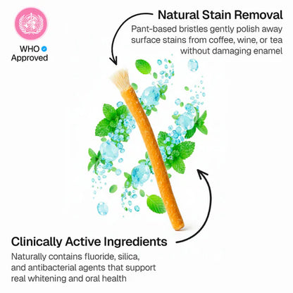 Ancient Natural Toothbrush